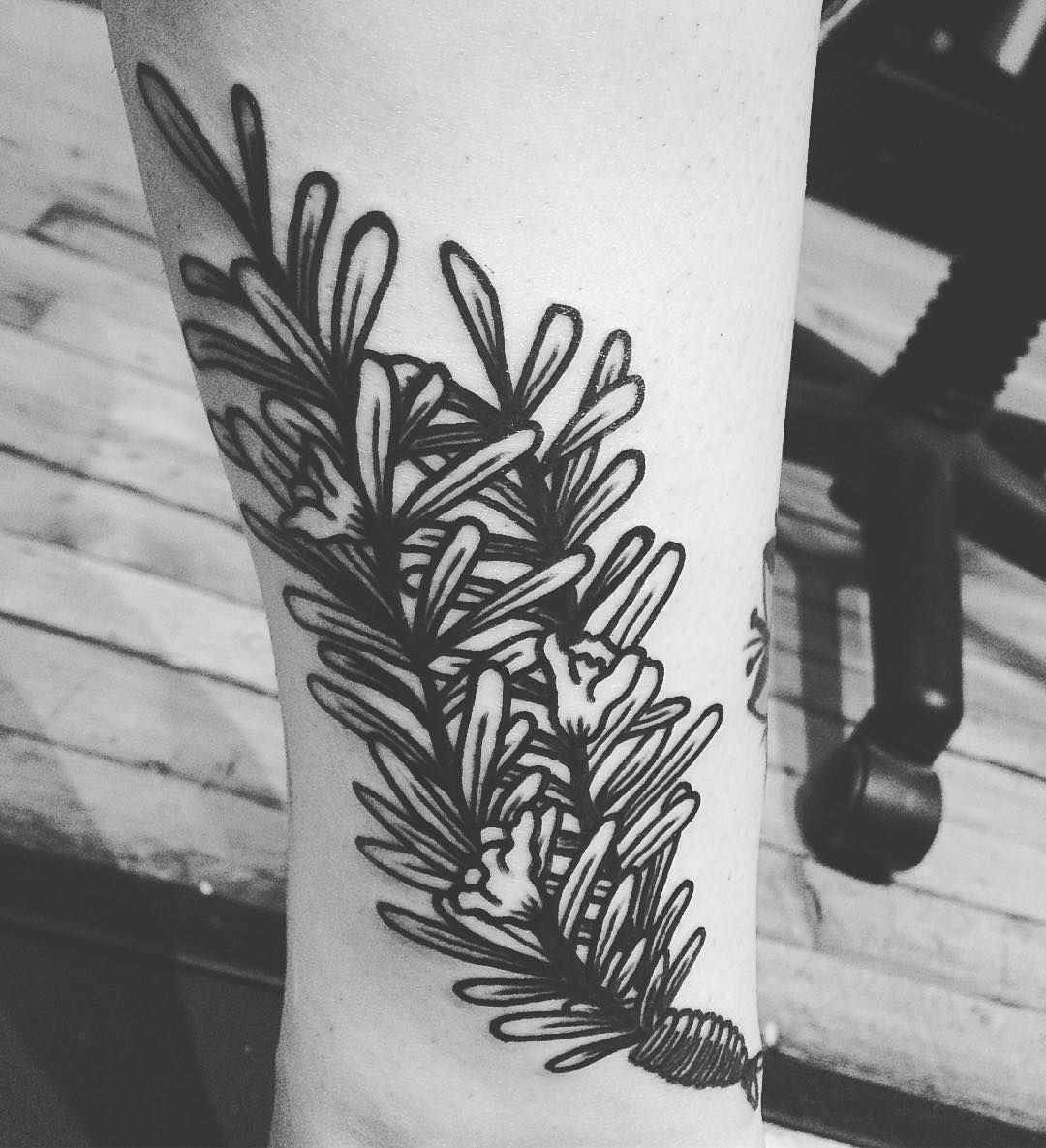 Rosemary on Em for her grandma. Might add some stippling eventually. #smokemdead #steadfasttattoo .
.
.
.
.
((¥))
#tattoo #tattoos #btattooing #blackworkerssubmission #iblackwork #blackwork #blackworkers #inkstinctsubmission #blacktraditionals #BLACKTATTOOMAG #blxckink #tttism #TTTpublishing #greatattoo #blackflashwork #TattooLife #darkartists #blackworkershero #wiilsubmission #traditionaltattoo