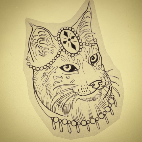 Mr Bobcat needs a home! Shoot me a message on facebook if interested!
