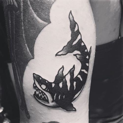 JAWESOME @alisonnic0le #steadfasttattoo
.
.
.
.
.
((¥))
#sharktattoo #tattoos #btattooing #blackworkerssubmission #iblackwork #blackwork #blackworkers #inkstinctsubmission #blacktraditionals #BLACKTATTOOMAG #blxckink #tttism #TTTpublishing #greatattoo #blackflashwork #TattooLife #darkartists #blackworkershero #wiilsubmission #traditionaltattoo #onlythedarkest #blackandgrey #occultarcana #tattoolife #oldlines #TAOT #nowash #FORMink