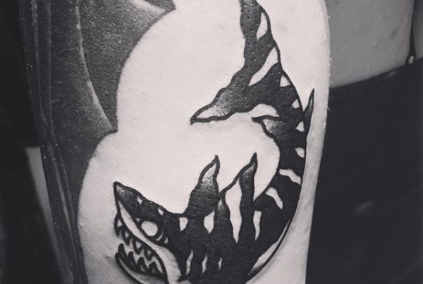 JAWESOME @alisonnic0le #steadfasttattoo
.
.
.
.
.
((¥))
#sharktattoo #tattoos #btattooing #blackworkerssubmission #iblackwork #blackwork #blackworkers #inkstinctsubmission #blacktraditionals #BLACKTATTOOMAG #blxckink #tttism #TTTpublishing #greatattoo #blackflashwork #TattooLife #darkartists #blackworkershero #wiilsubmission #traditionaltattoo #onlythedarkest #blackandgrey #occultarcana #tattoolife #oldlines #TAOT #nowash #FORMink