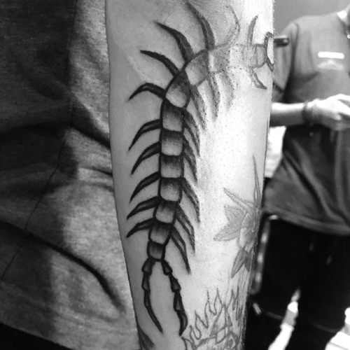 Had so much fun with this one, thanks so much @prkegore23 ! A little difficult to take a good picture because of glare and wrap around. 🖤🖤 #foxtailtattoo #blackwork #blackworkers #inkwork #steadfasttattoo #ladytattooers #centipede #centipedetattoo #waverlyink #workhorseirons #blackandgrey #rochestertattoo