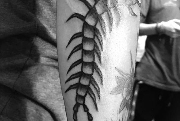 Had so much fun with this one, thanks so much @prkegore23 ! A little difficult to take a good picture because of glare and wrap around. 🖤🖤 #foxtailtattoo #blackwork #blackworkers #inkwork #steadfasttattoo #ladytattooers #centipede #centipedetattoo #waverlyink #workhorseirons #blackandgrey #rochestertattoo