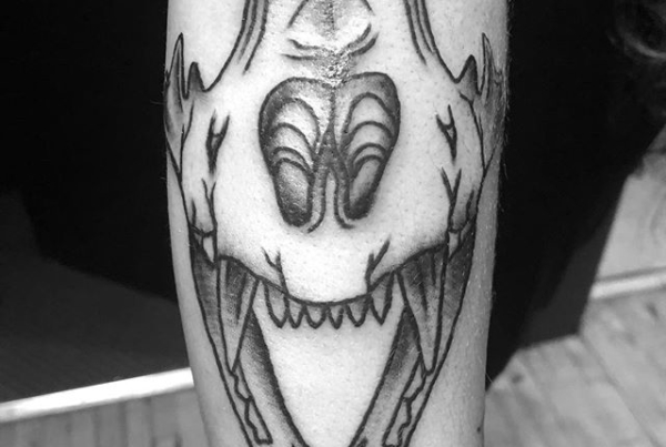 Sabertooth tiger for @alien_cat420 🖤 very grateful for those of you that get my designs! #blackworkers #blackwork #blackworktattoo #ladytattooer #skulltattoo #cattattoo #cattoo #sabertoothtiger #waverlyink #workhorseirons #steadfast #steadfasttattoo #inkstinct #inkwork #linework #tattoosofinstagram #rochestertattoo