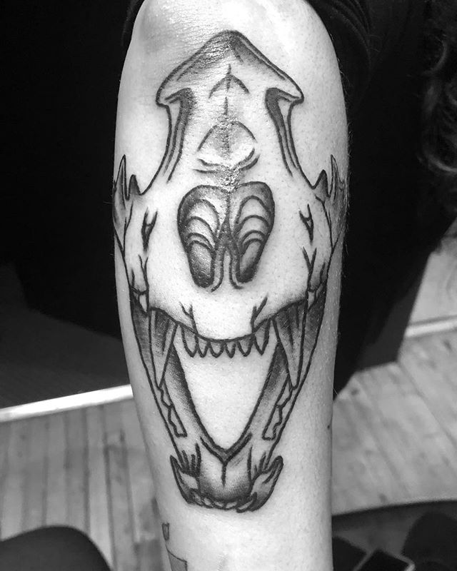 Sabertooth tiger for @alien_cat420 🖤 very grateful for those of you that get my designs! #blackworkers #blackwork #blackworktattoo #ladytattooer #skulltattoo #cattattoo #cattoo #sabertoothtiger #waverlyink #workhorseirons #steadfast #steadfasttattoo #inkstinct #inkwork #linework #tattoosofinstagram #rochestertattoo
