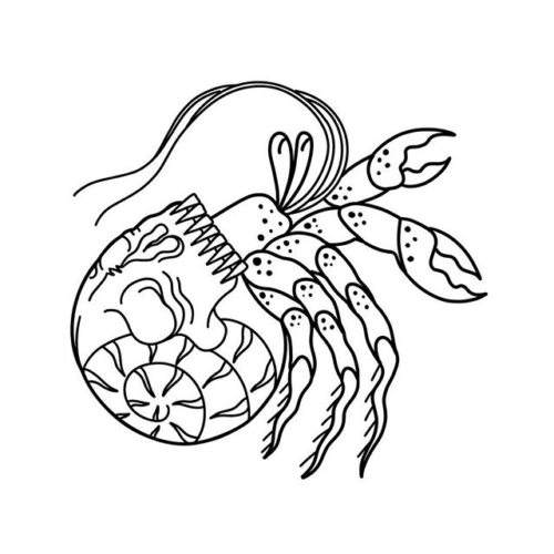 a badass lil hermit crab 👊 available to be tattooed! .
.
.
.
#tattoo #blackworktattoo #inkstinct #blackwork #blxckink #btattooing #blkttt #blackworkers #waverlyink #tttism #rochesterny #rochestertattoo #ladytattooer #tattoodo #workhorseirons #steadfast #onlythedarkest #foxtailtattoos #inkwork #linework