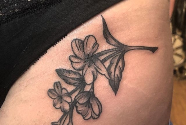 Jasmine flowers for Jasmine ✨ thank you so much! .
.
.
.
#tattoo #blackworktattoo #inkstinct #blackwork #blxckink #blackink #btattooing #blkttt #blackworkers #waverlyink #tttism #rochesterny #flashworkers #rochestertattoo #ladytattooer #tattoodo #workhorseirons #steadfast #onlythedarkest #foxtailtattoos #inkwork #linework #whipshaded #tradworkers #boldtattoo #blackworkartists #blackclawneedles
