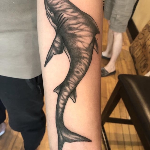 Shark for Chun! Thank you for letting me do your first tattoo! .
.
.
.
#tattoo #blackworktattoo #inkstinct #blackwork #blxckink #blackink #btattooing #blkttt #blackworkers #waverlyink #tttism #rochesterny #flashworkers #rochestertattoo #ladytattooer #tattoodo #workhorseirons #steadfast #onlythedarkest #foxtailtattoos #inkwork #linework #whipshaded #tradworkers #boldtattoo #blackworkartists #blackclawneedles