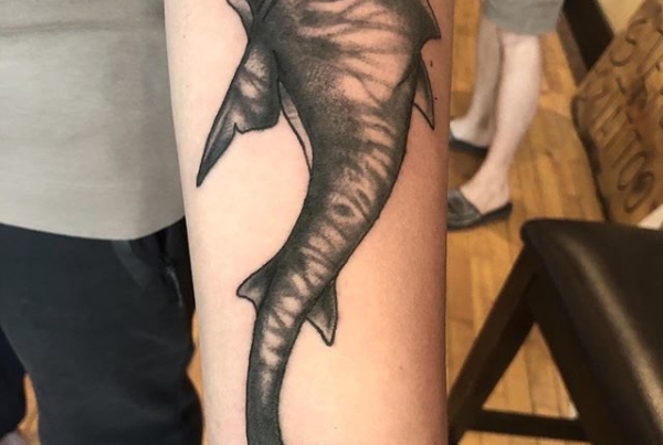 Shark for Chun! Thank you for letting me do your first tattoo! .
.
.
.
#tattoo #blackworktattoo #inkstinct #blackwork #blxckink #blackink #btattooing #blkttt #blackworkers #waverlyink #tttism #rochesterny #flashworkers #rochestertattoo #ladytattooer #tattoodo #workhorseirons #steadfast #onlythedarkest #foxtailtattoos #inkwork #linework #whipshaded #tradworkers #boldtattoo #blackworkartists #blackclawneedles