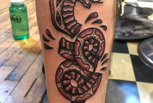 One from thanksgiving night. 🐍 I have availability next week, my design or yours.
.
.
.
#tattoo #inkstinct #blackwork #blxckink #blackink #btattooing #blkttt #blackworkers #waverlyink #tttism #rochesterny #flashworkers #rochestertattoo #ladytattooer #tattoodo #workhorseirons #steadfast #onlythedarkest #foxtailtattoos #inkwork #linework #whipshaded #tradworkers #boldtattoo #blackworkartists #blackclawneedles